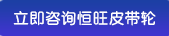 皮帶輪，國標皮帶輪