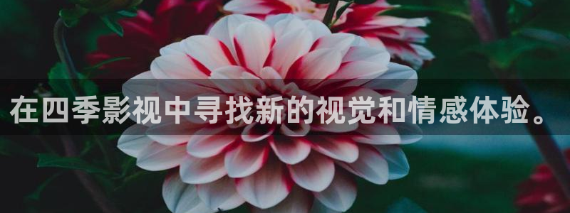 九七年的電影：在四季影視中尋找新的視覺和情感體驗。