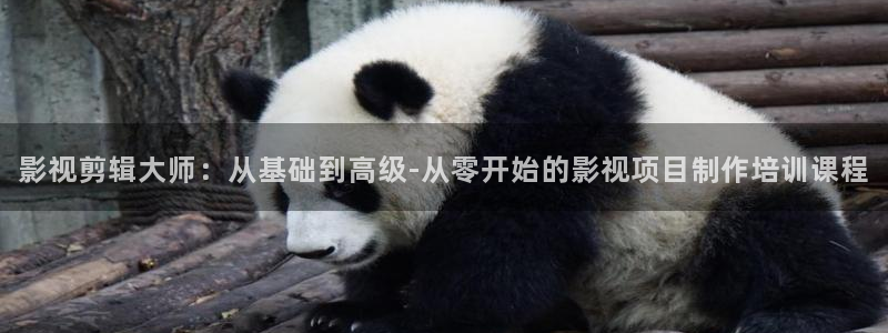 九七電影院手機版在線觀看：影視剪輯大師：從基礎到高級-從零開始的影視項目制作培訓課程