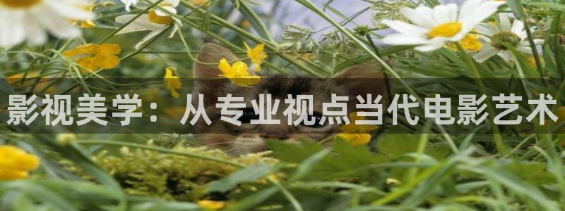 九七影視影院：影視美學：從專業視點當代電影藝術